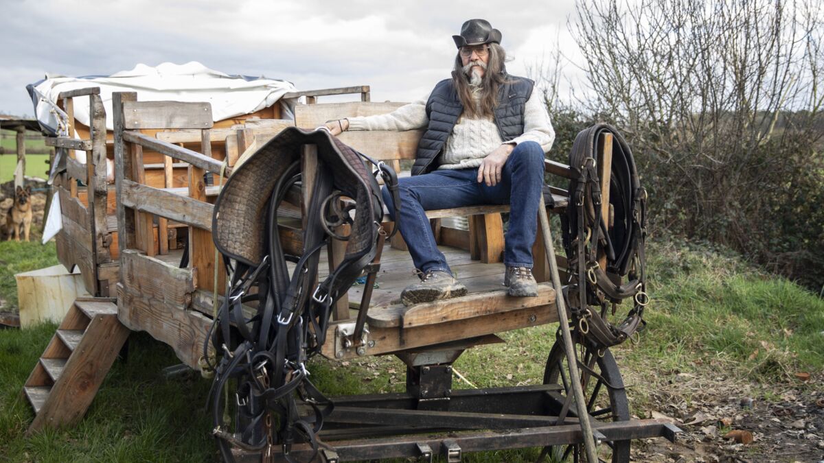 Alain Le Breton De L Amour Est Dans Le Pré L'amour est dans le pré 2022 : qui est Alain “Le Breton”, le Davy Crockett  qui habite dans une écurie ? - Voici