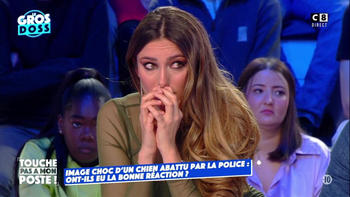 Chien Tué Par La Police Tpmp VIDEO Touche pas à mon poste : très touchée par la mort d'un chien,  Delphine Wespiser fond en larmes - Voici