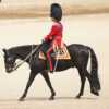 Le prince William sur un cheval drogué pour le Jubilé ? La polémique gonfle au Royaume-Uni - Voici
