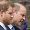 Prince William : pourquoi il n’avait pas l’intention de se rendre à l’anniversaire de la fille d’Harry - Voici