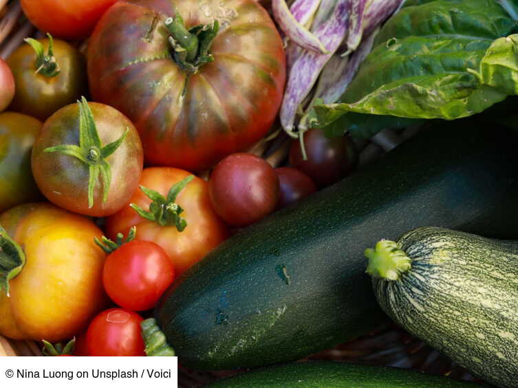 Courgette, aubergine, tomate … pourquoi doiton ces légumes avant de les