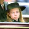 Princesse Charlotte : les internautes choqués par sa ressemblance avec un membre de la famille royale - Voici