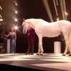 Miss France 2023 : un cheval fait polémique sur scène, les internautes furieux - Voici