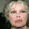 Brigitte Bardot « ne voulait pas d’enfant » : pourquoi elle a accouché de son fils Nicolas sous la contrainte ? - Voici