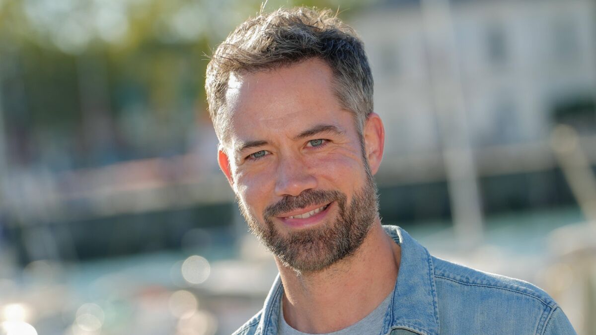 Emmanuel Moire Dans Demain Nous Appartient