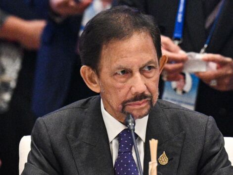 Qui sont les membres de la famille du Sultan de Brunei ?