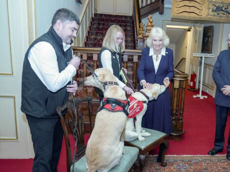 La reine Camilla prend la pose avec d'adorables chiens à Clarence House