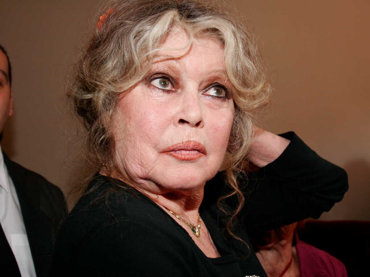 Brigitte Bardot : cette nouvelle information sur son mariage avec Bernard d’Ormale pourrait chambouler la succession