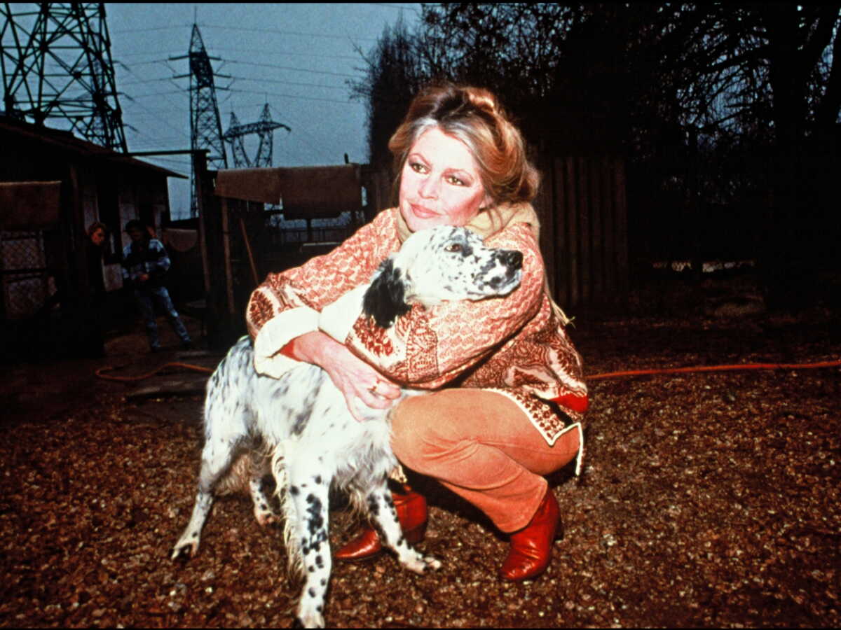 Fondation Brigitte Bardot : cette célébrité dont les animaux ont tous été recueillis il y a quelques années