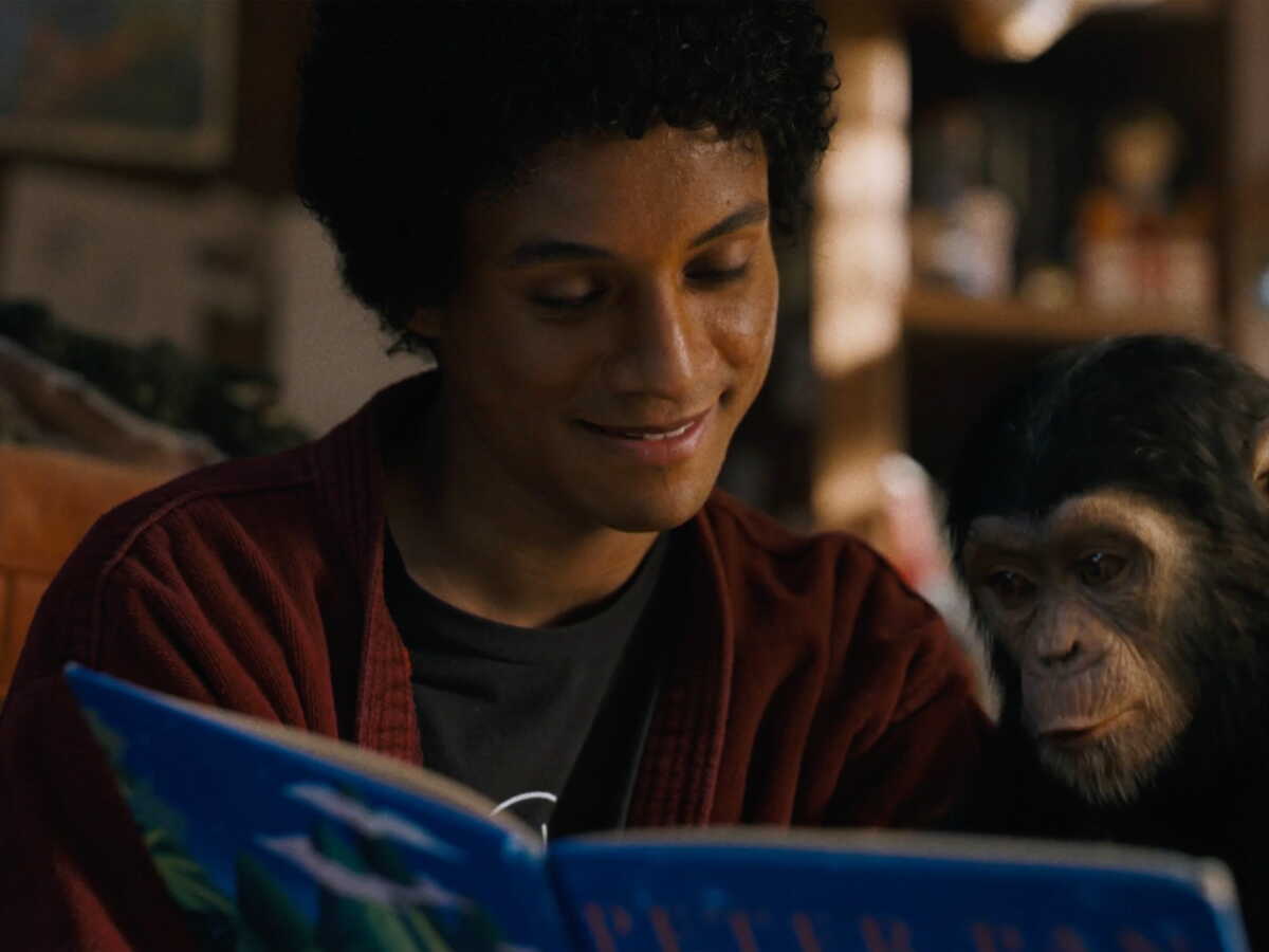 "Un chimpanzé brillant, sensible et curieux" : que devient Bubbles, le singe de Michael Jackson âgé de 43 ans ?