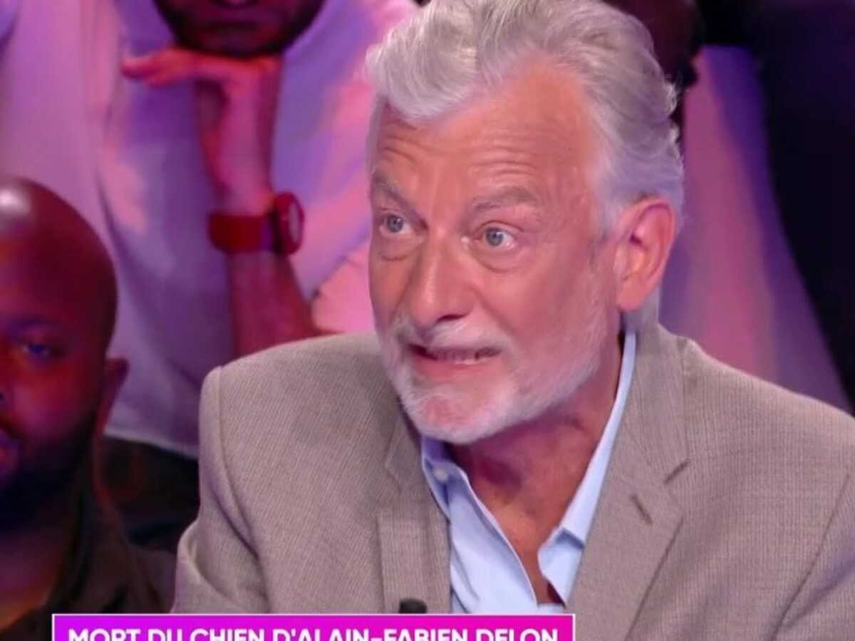 "Il n'y avait pas d'autre solution" : Gilles Verdez donne des détails sur les circonstances de la mort du chien d'Alain-Fabien Delon après la garde à vue d'Anthony Delon (ZAPTV)