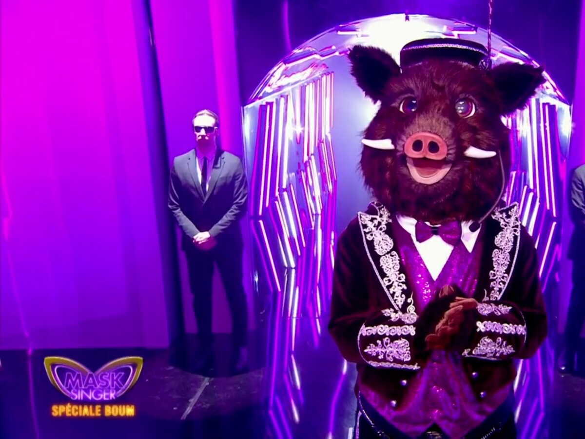 Mask Singer : découvrez quelle célébrité se cachait sous le costume du Sanglier