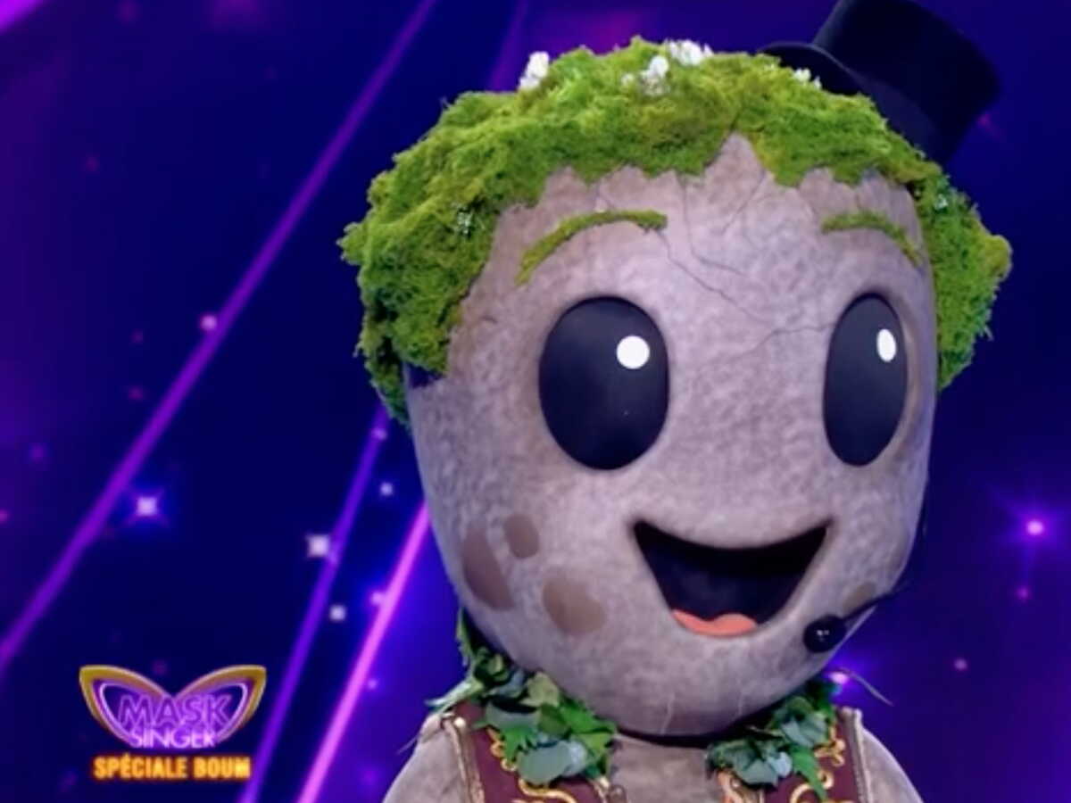 Mask Singer : Découvrez quelle personnalité se cachait sous le costume du Caillou