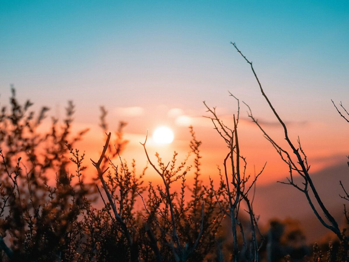 L'horoscope de la semaine du 3 au 9 juillet : Mars et Vénus forment un tandem électrique et viennent tout chambouler