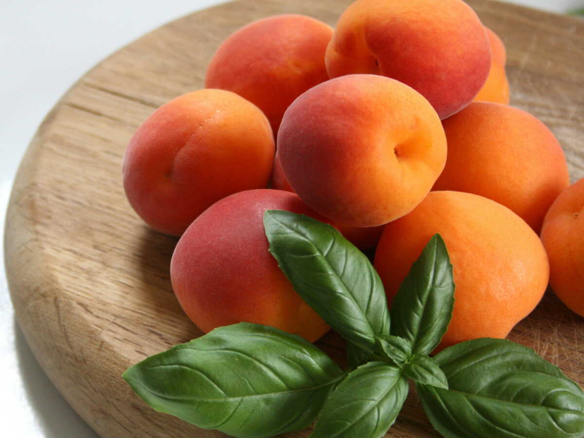 Tarte Tatin aux abricots : la délicieuse recette estivale parfumée au romarin