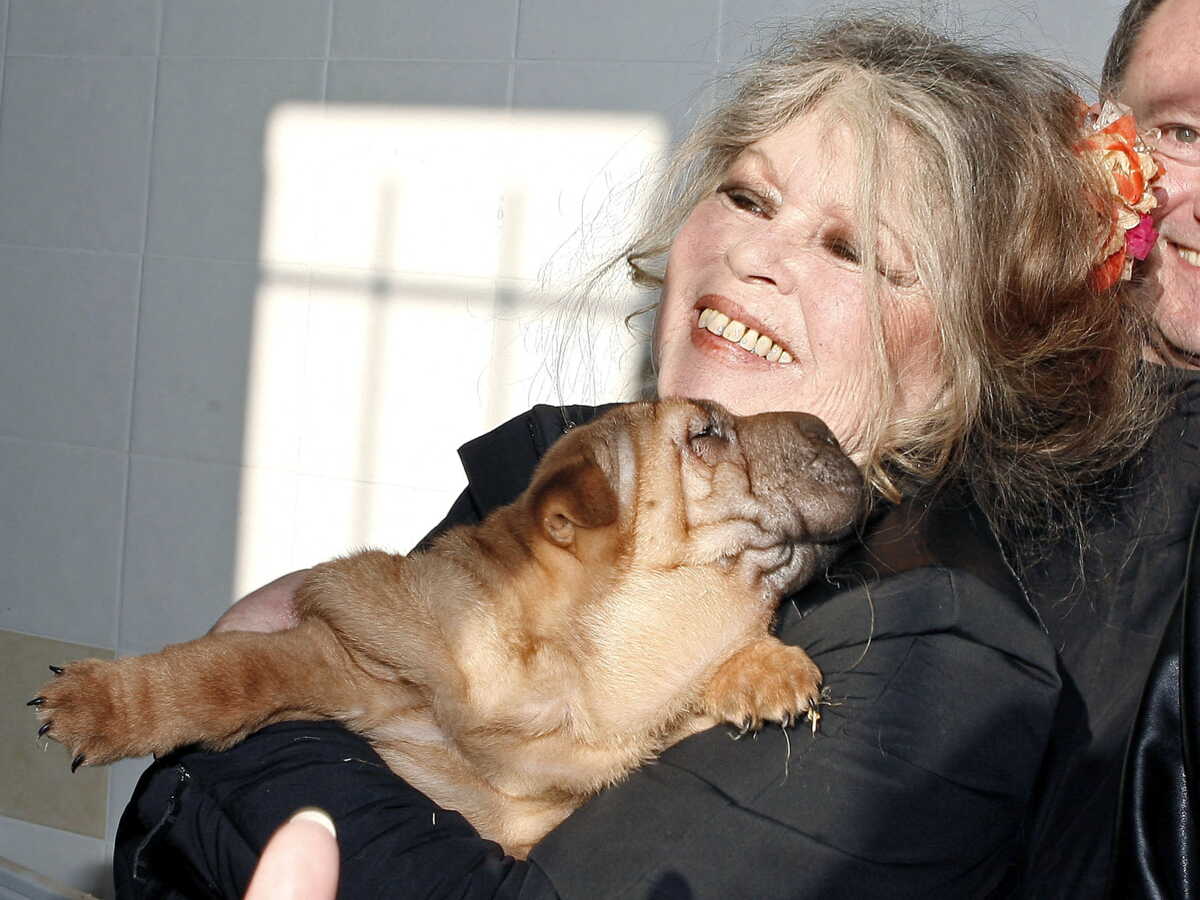 Brigitte Bardot : frigos moisis, animaux morts… Les révélations accablantes sur La Garrigue et La Madrague après sa disparition