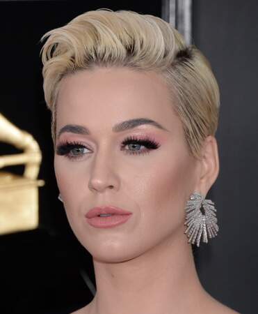 Katy Perry aux Grammy Awards 2019, Los Angeles