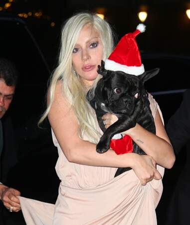 Être déguisé en Père Noël, quelle vie de chien ! (avec Lady Gaga)
