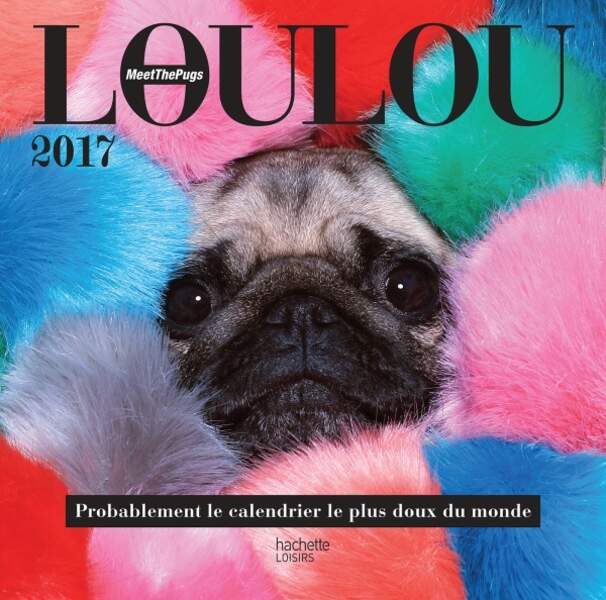 Calendrier 2017 Meet the pug. 24 pages, 9,90€, Hachette Loisirs.