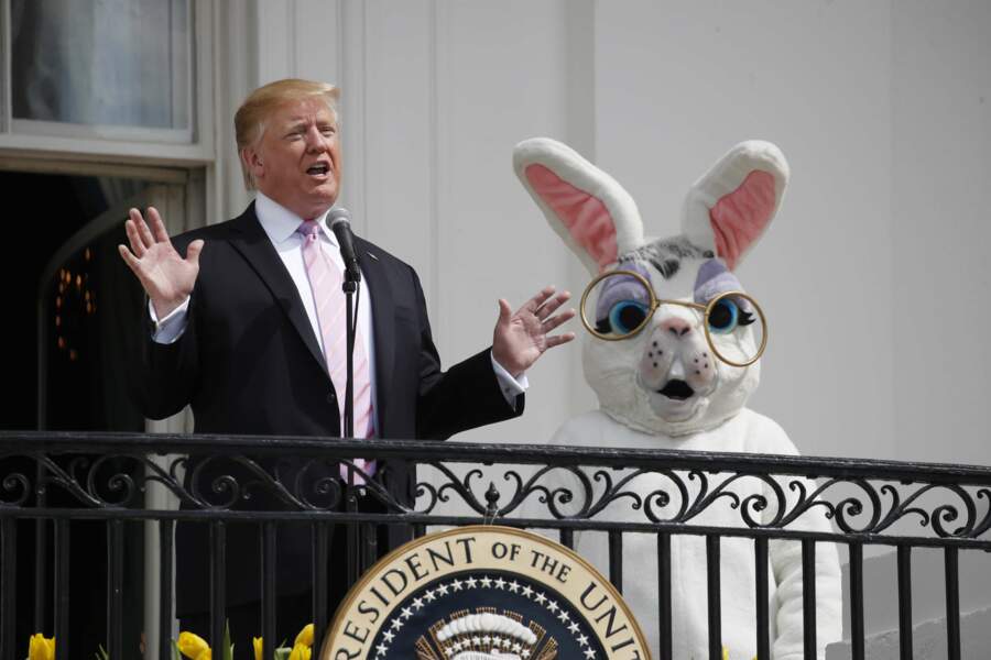 Donald Trump et le lapin