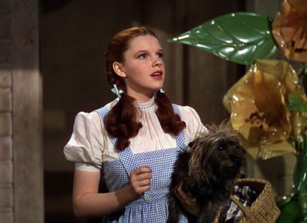Judy Garland y incarnait le personnage de Dorothy
