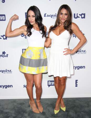 Les soeurs Brie et Nikki Bella, des jumelles stars du catch aux Etats-Unis