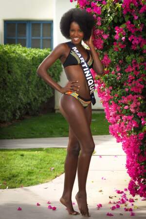 Aucune Miss Martinique n'a été sacrée Miss France