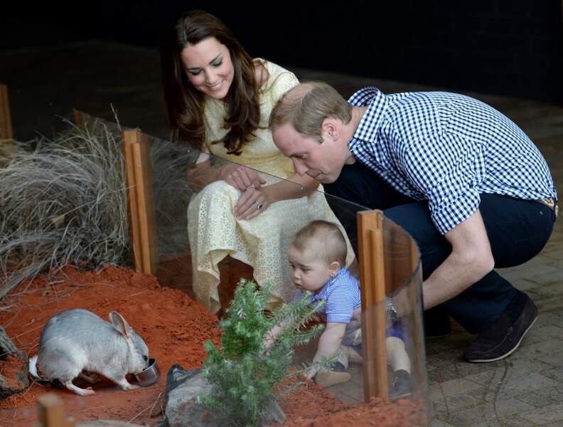 Sortie en famille - et en public - dans un zoo australien