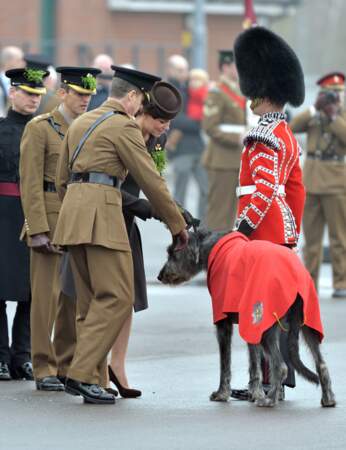 Et la décoration de Downhall, le chien mascotte de la garde irlandaise