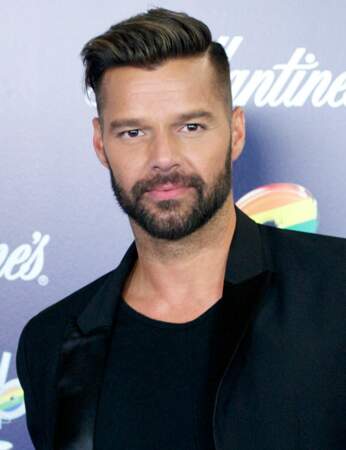 Ricky Martin a aussi officié en 2013 dans le télécrochet australien