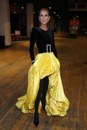 Do : Céline Dion avec sa jupe plissée asymétrique 