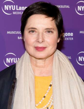 Que collectionne Isabella Rossellini ?
