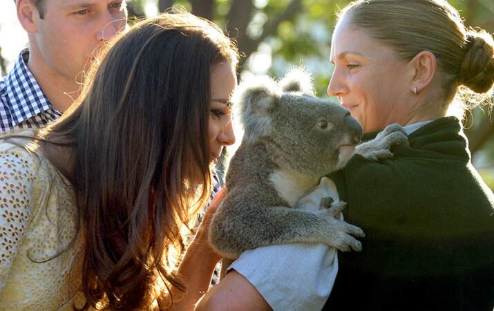 Kate en profite pour faire un gros câlin à un koala