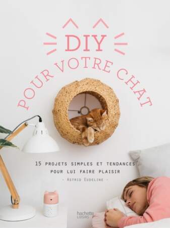 Tendance DIY : DIY pour votre chat, 15 projets simples et tendances pour lui faire plaisir, par Astrid Eudeline, éd