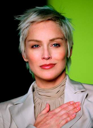 Sharon Stone en 2004
