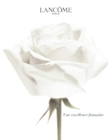 La rose Lancôme by Eric Maillet