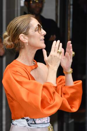 PHOTOS En pleine marée humaine, Céline Dion reçoit un chèque de ses fans pour sa fondation