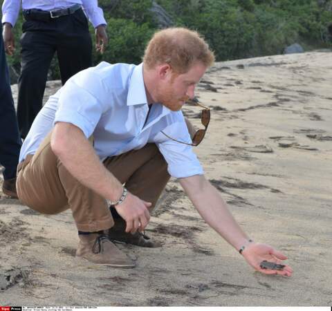 Les people posent avec des animaux : Prince Harry