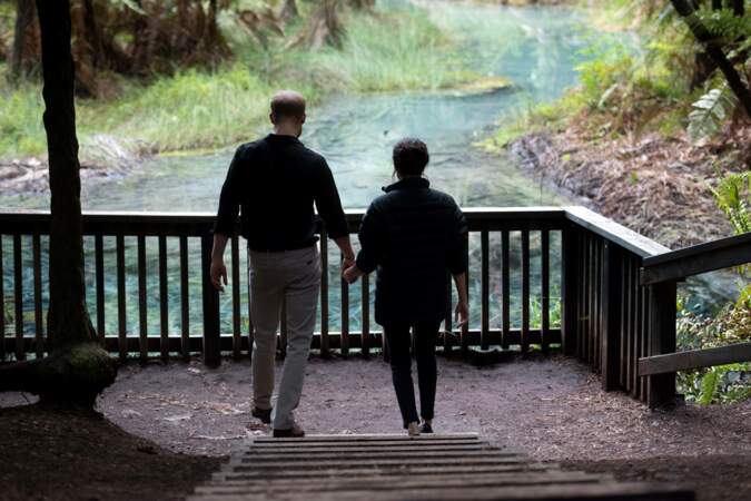 Meghan Markle et le prince Harry parcourent le parc de Rotorua main dans la main
