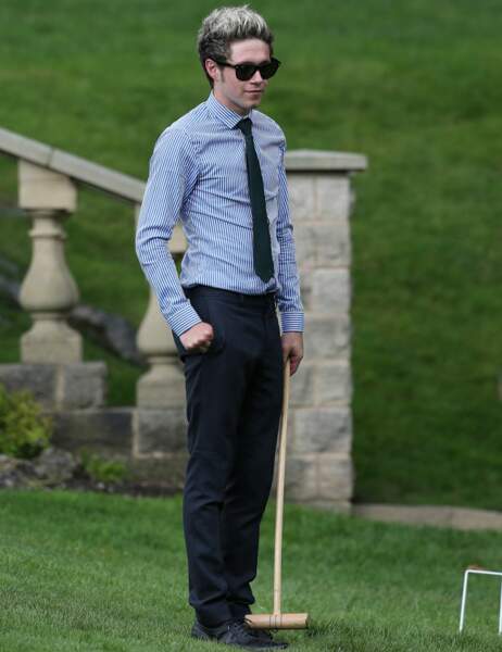 Niall Horan, avec sa cravate verte aux couleurs de l'Irlande, joue une partie de cricket...