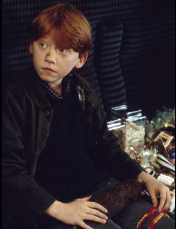 Ron Weasley, le meilleur ami d'Harry...