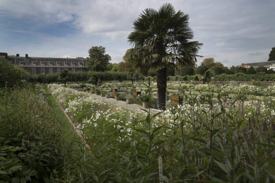 Le jardin éphémère de Kensington Palace en hommage à Diana à l'occasion du 20ème anniversaire de sa disparition