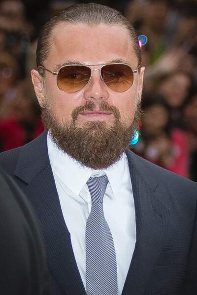 Leonardo DiCaprio très barbu : mmmmm bof.