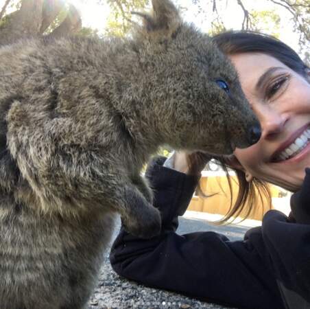 Teri Hatcher : Ses selfies hilarants avec un Quokka