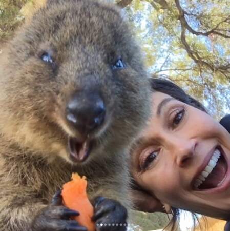 Teri Hatcher : Ses selfies hilarants avec un Quokka