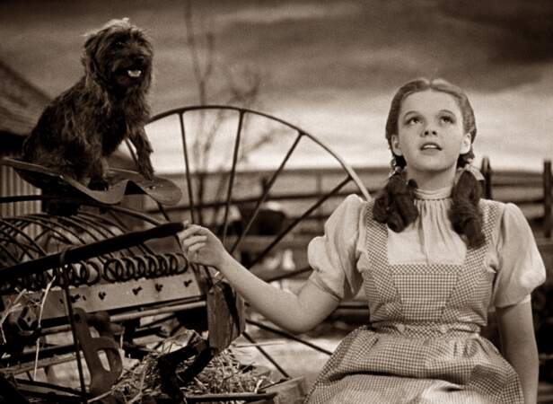Judy Garland dans Le Magicien d'Oz