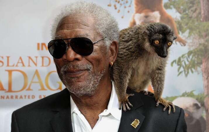 Pour Morgan Freeman, c’était 1 lémurien ou rien !