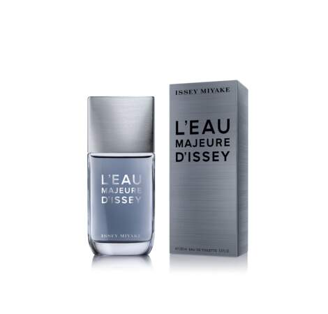 FIFI Awards 2018 : L'Eau majeure d'Issey Miyake, Issey Miyake - Famille boisée, facettes fougère et marine 