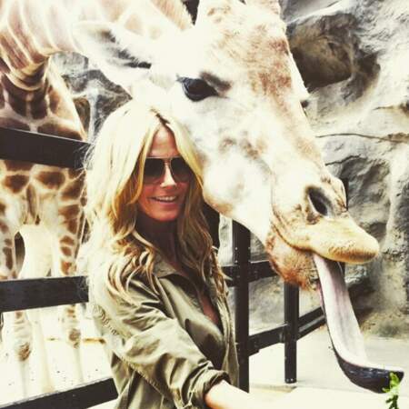 Les people posent avec des animaux : Heidi Klum