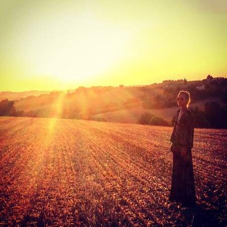 LA photo de coucher de soleil dans les champs